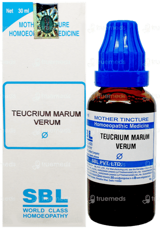 Sbl Teucrium Marum Verum Q Mother Tincture 30Ml